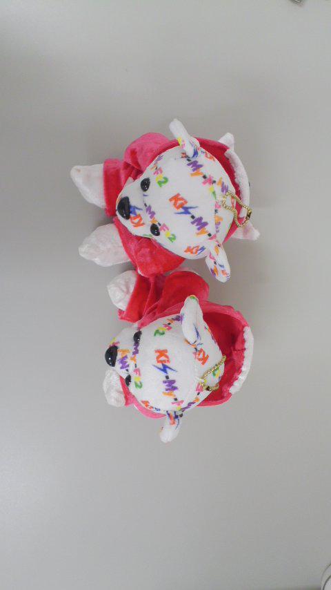 k576k's tweet photo. これね、手袋と靴下も作ってるの。
すごいね。可愛いね。

たいちゃん着てる可愛らしいお顔の子がのんのんのベア。
わったー着てるとぼけ顔の子がうちのベア。
舞祭組……ww http://t.co/Xq6ZqMwgQr