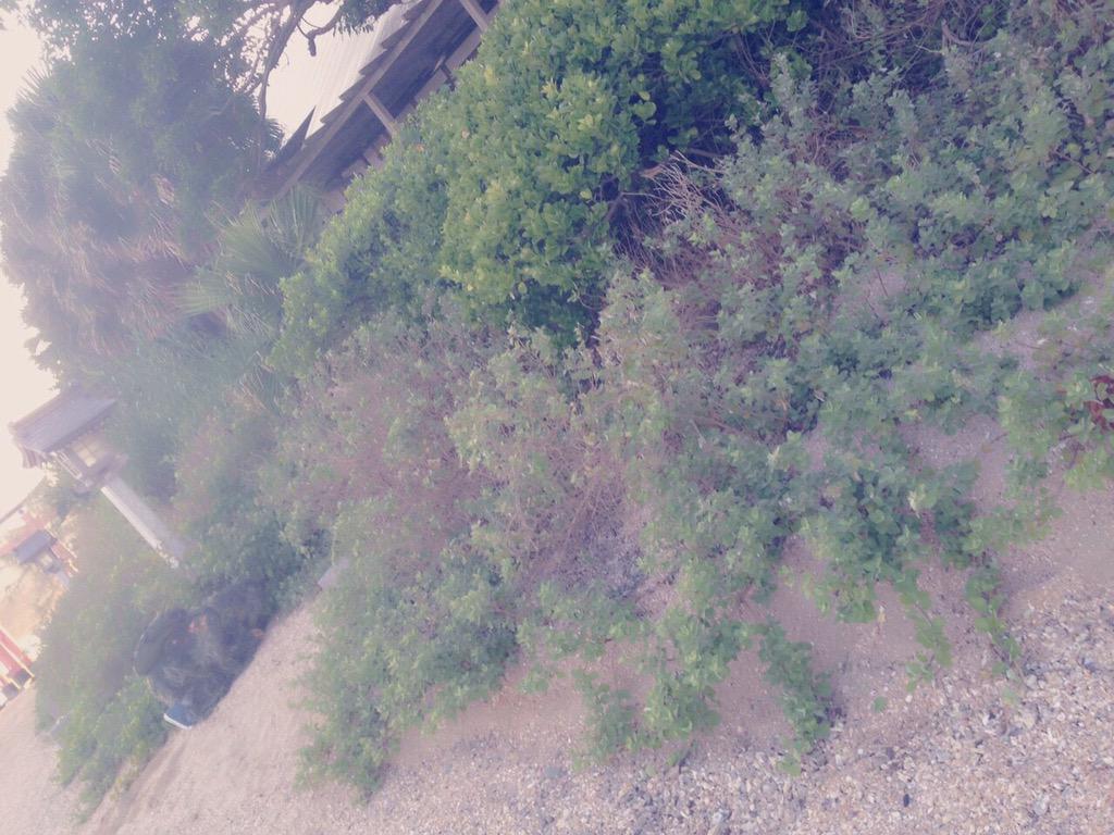 川崎 梓 Azuazu0709 Twitter