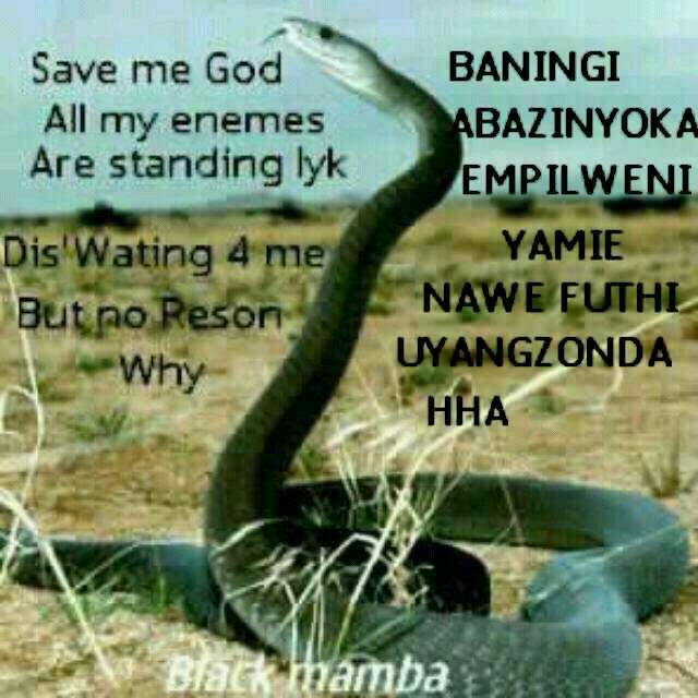XoliXolinjilo's tweet photo. http://t.co/pYsptp6qa8