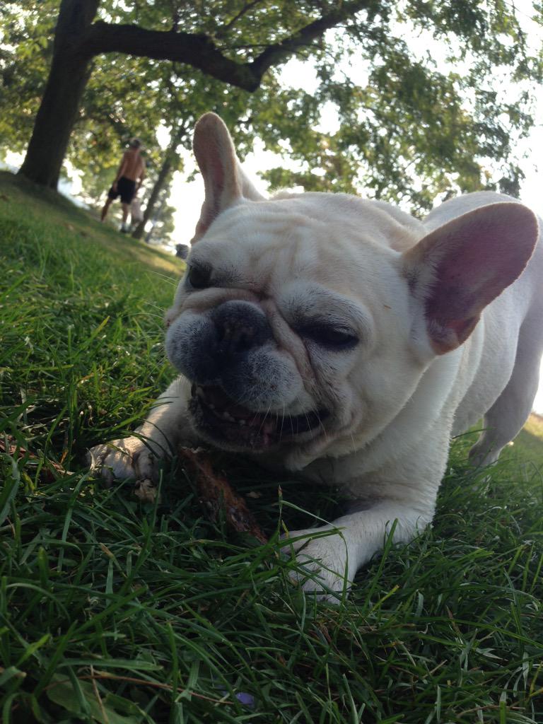 Spuders's tweet image. Good summer