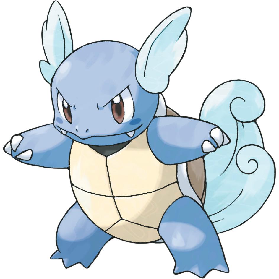 wrongpokemon's tweet photo. Warturtle http://t.co/2pWA5Oyt7R