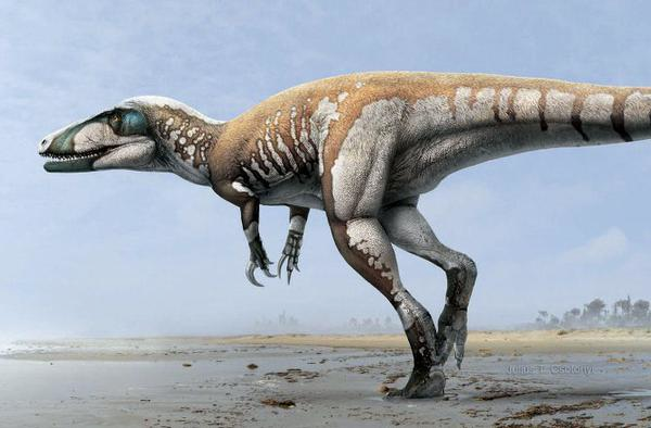 ScienceArtBlog's tweet image. Art by Julius T. Csotonyi
@jcsotonyi

Lightning Claw—Largest Carnivorous Dino in Australia
news.discovery.com/animals/dinosa…