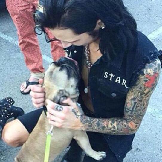 ANDYAESTHETlCS's tweet image. 