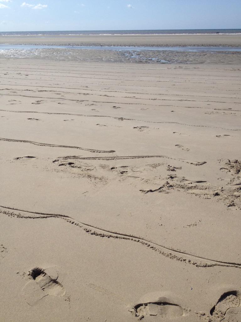 SPerdus's tweet image. 