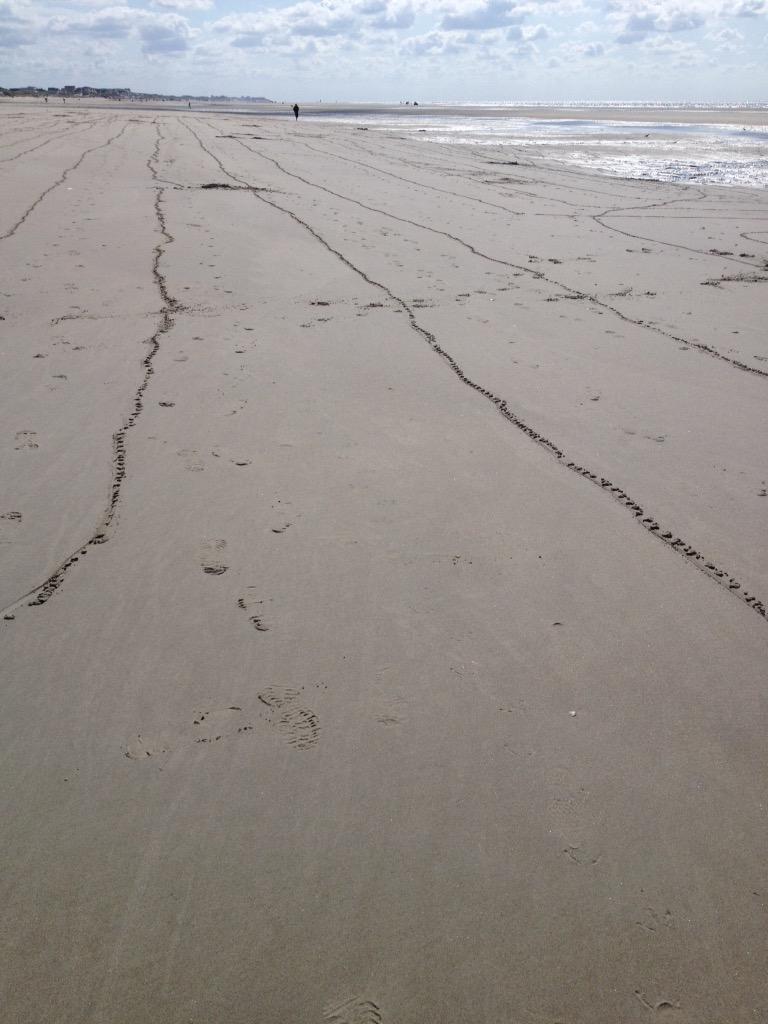 SPerdus's tweet image. 