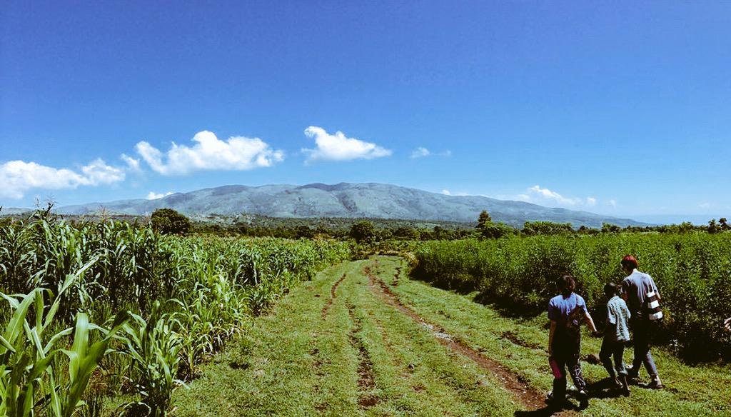 "on mountains high &amp; in valleys low, still I will praise my God" #ThisIsHaiti