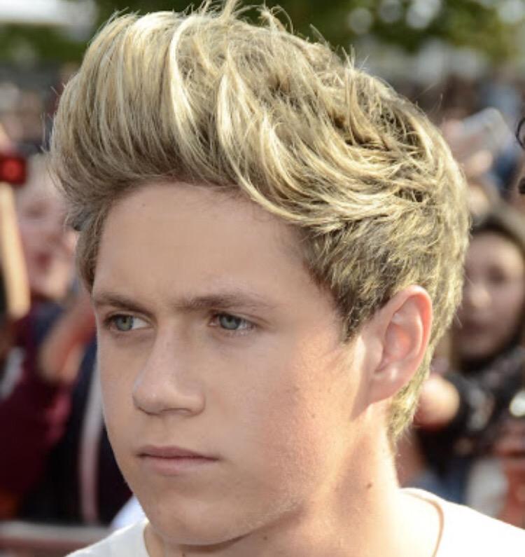 Happy birthday Niall Horan! 