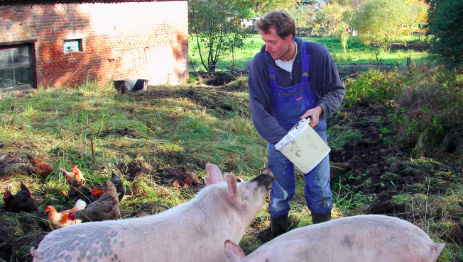 What the Sale of Niman Ranch Could Mean for Farmers bit.ly/1geBuHi