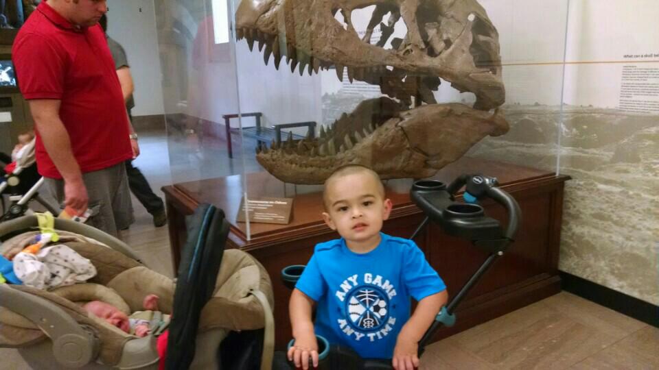 missygbucksnut's tweet photo. Checking out some dinosaurs!! #roar #bonesonbonesonbones @gobluemike58 (at @nmnh) https://t.co/tBuOk0MzTA http://t.co/e7xvmSwcY1
