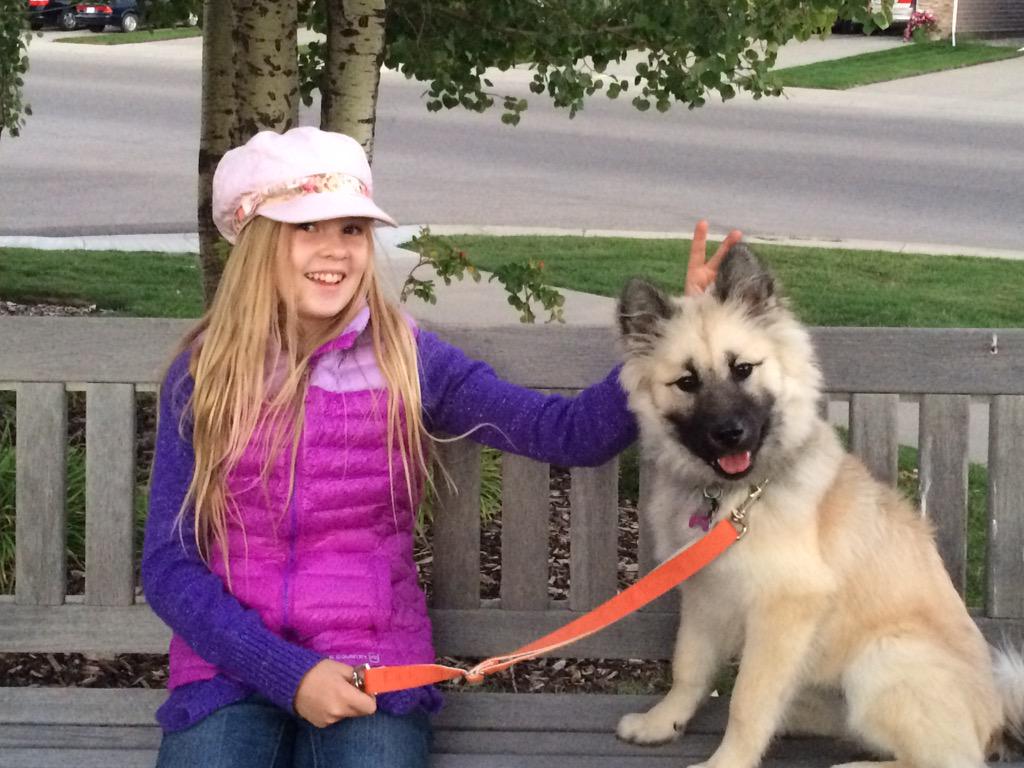 Lisa_M_Reece's tweet photo. #cccore @CleverCanines Nylah, had fun doing patience training on our walk last night. 😄 http://t.co/JoiAc2eQVl