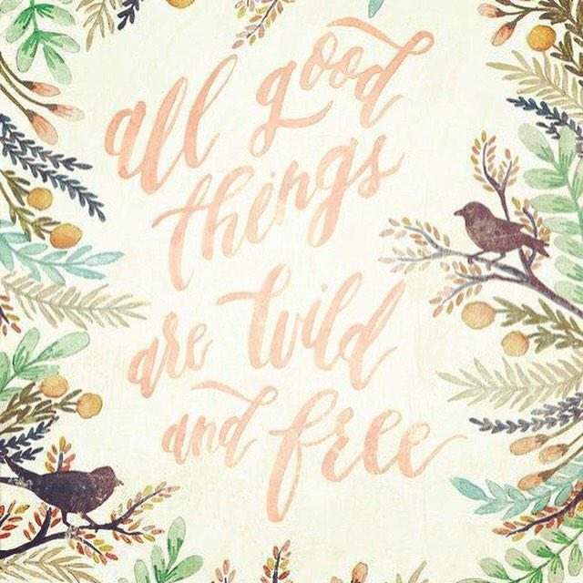 forconscious's tweet image. Align yourself with Mother Earth....we don't own the #earth, we are the earth #consciousness #Spiritualgrowth #zen