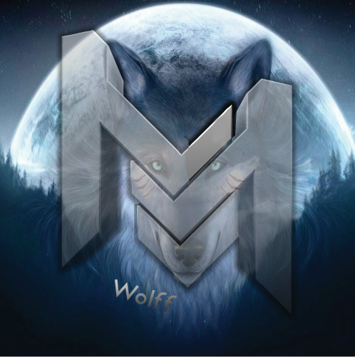 MyNameIsWolffy's tweet photo. I am now leading the team, @Modern_Snipers http://t.co/zlcNdEG3xU