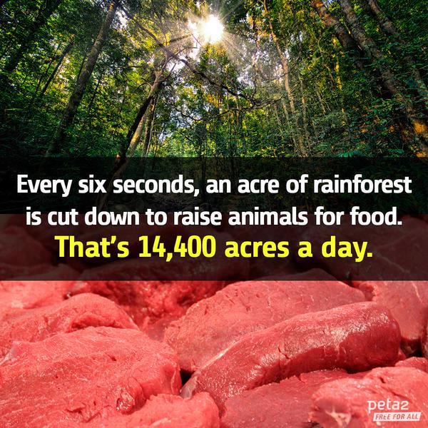 PETAShares's tweet photo. Going #vegan is good for:

a) The planet 🌎
b) The animals 🐣🐮🐷
c) Your health 😷
d) ALL OF THE ABOVE✅ 

#GoVegan🌱 http://t.co/Crq56tOrmr
