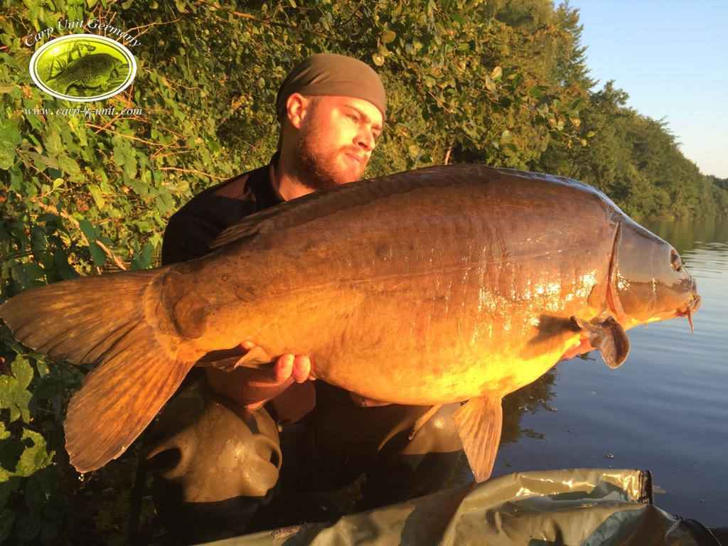 CarpUnitGermany's tweet image. My New Personal best... What a day.. It was Amazing... 😎✌️✌ #carp #karpervissen #carpfishing #carpunitgermany