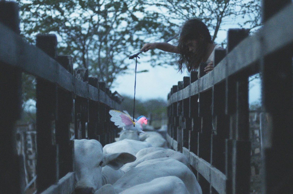 Special #Orizzonti JURY PRIZE to: BOI NEON (NEON BULL) by Gabriel Mascaro