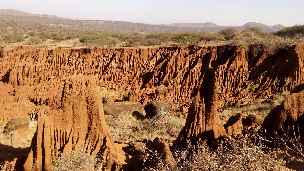 #OljogiConservany beautiful Kenya.