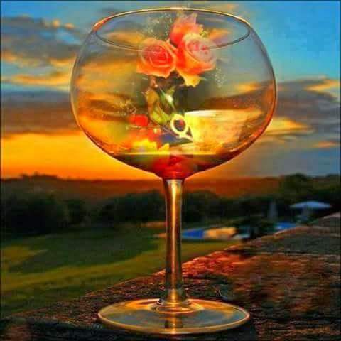 chachy48's tweet image. 