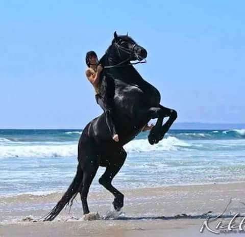 chachy48's tweet image. 