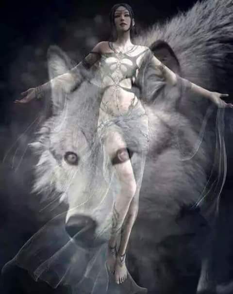 chachy48's tweet image. 