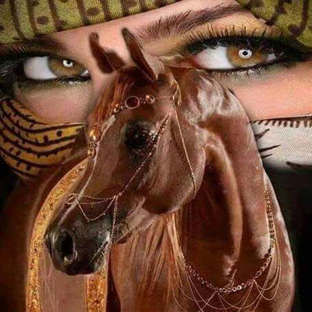 chachy48's tweet image. 