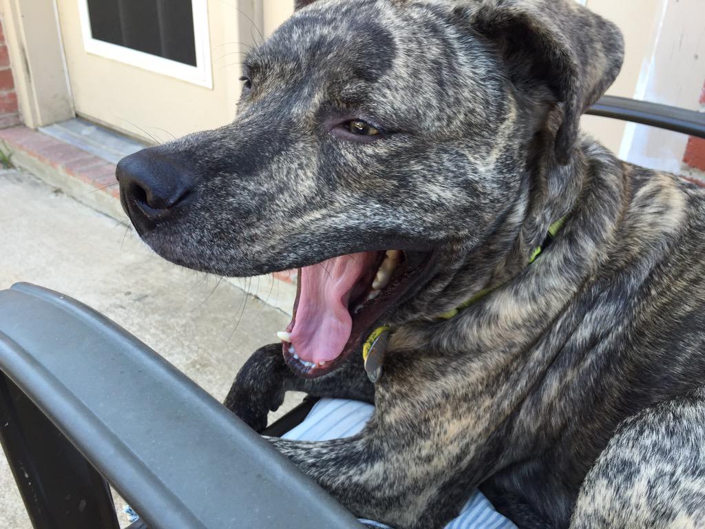 Cathie Stephens tweet media