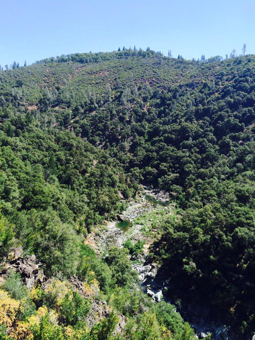 WonderfullyWondering