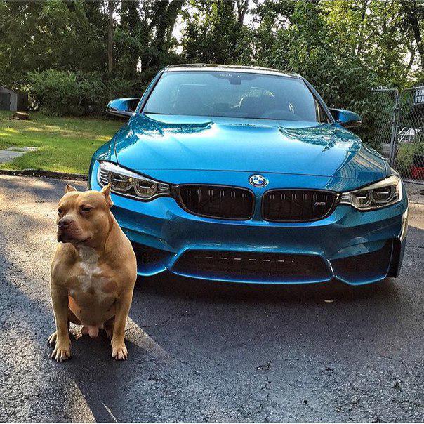 #bmw #bmwdag #bmwru #bmwm
