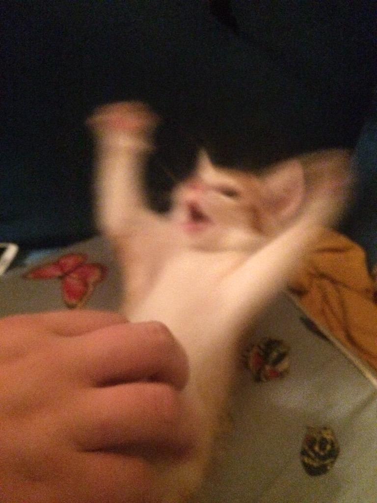 butpowerpuff's tweet photo. демон... http://t.co/eSyYLCaEXV