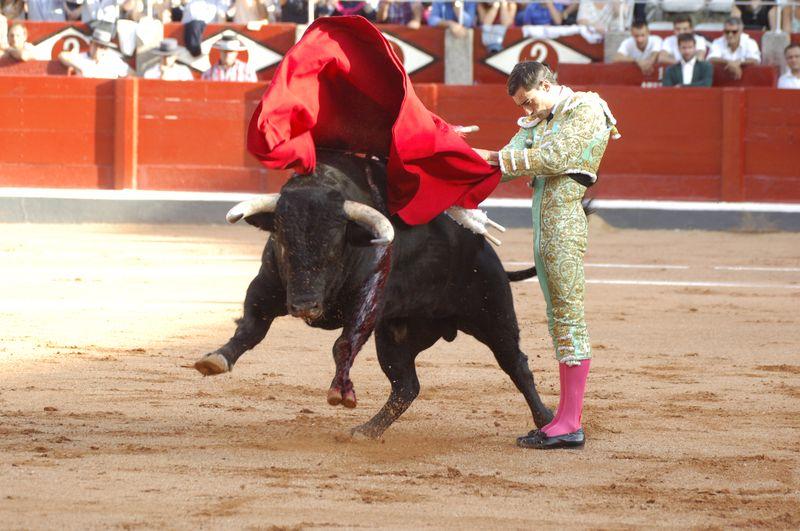 LA CRÓNICA DE MARÍA DE FUENTES. Honradez, digna de elogio salamancartvaldia.es/not/91333/honr…