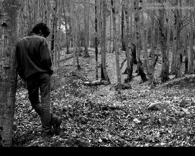 Ana8t__7rf's tweet image. آلعِشقْ لآ يعني آلقُرب ؛ فَهآ أنآ أعشق ،، ذآك آلبَعيد كُل يوم آكثر ..