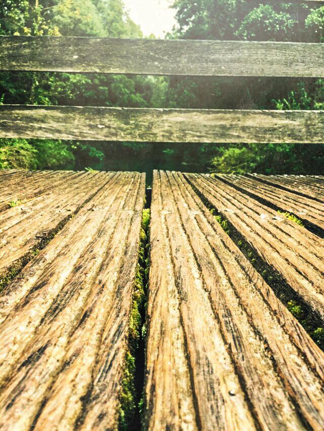 trystanoldfield's tweet image. A quick snap! #photography #retweet