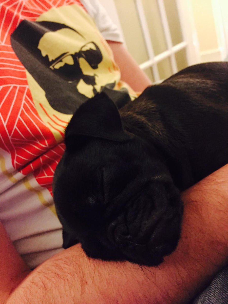 t_white19's tweet image. Aww look at his little face