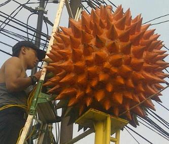 Download 99+ Gambar Durian Raksasa Terbaik 