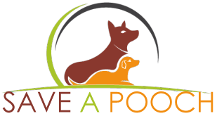pampermenetwork's tweet image. Save the lives of pooches with TalkPix Pooch Cam. #saveapooch  #rescuedogs #crowdfunding fanrewardsnetwork.com/index.php?opti…