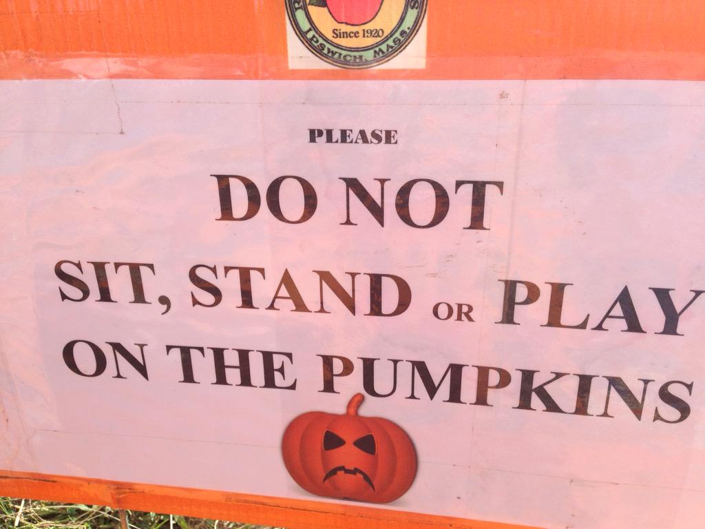 srobhall's tweet image. Agricultural tourism.