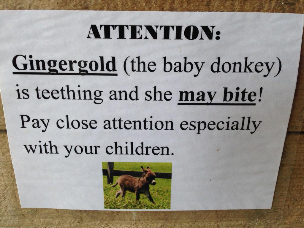 srobhall's tweet image. Agricultural tourism.