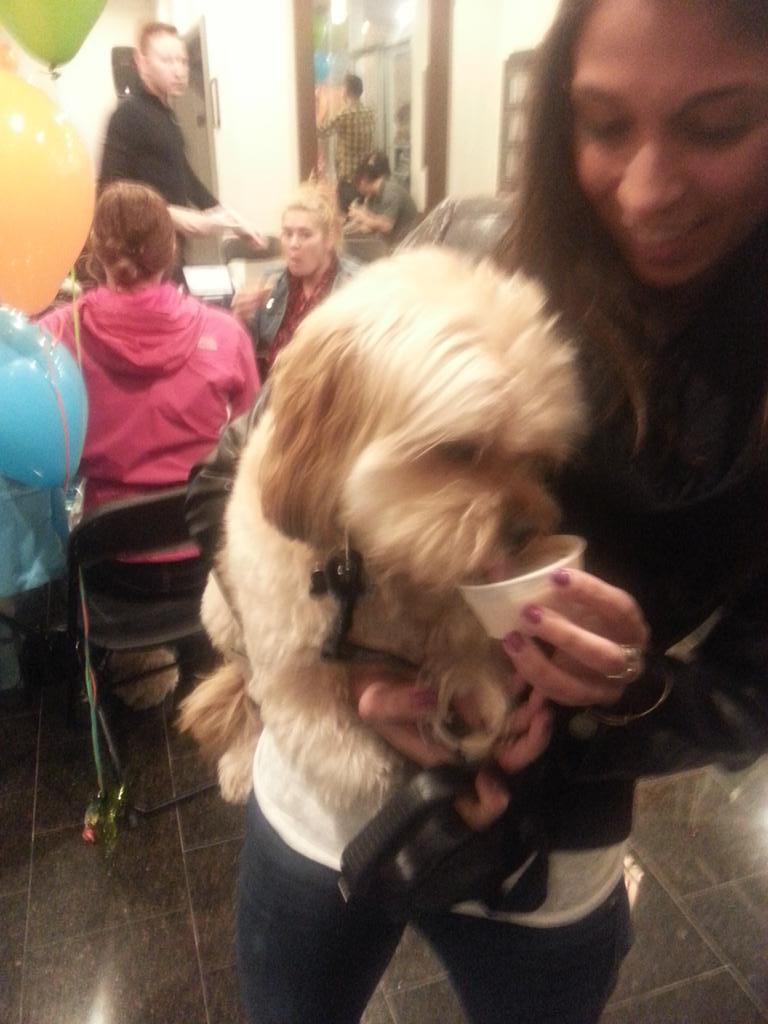 6_Mutts's tweet photo. We had a blast with @K9USchoolBus @PPMapartments  at the event today at 3130 LSD. #6mutts #wigglewaggles #doglife http://t.co/OOg2yW8KRz