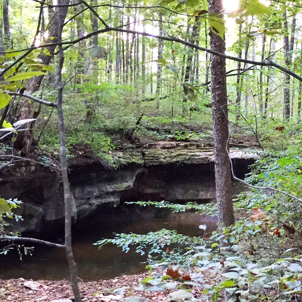 naturenovice's tweet image. #cedarspreserve #hikingtrails led us through #nature, #indianalimestone history, and a #waterfall! @SycLandTrust