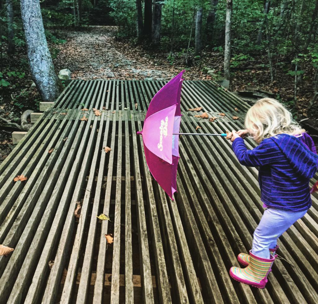 naturenovice's tweet image. #cedarspreserve #hikingtrails led us through #nature, #indianalimestone history, and a #waterfall! @SycLandTrust