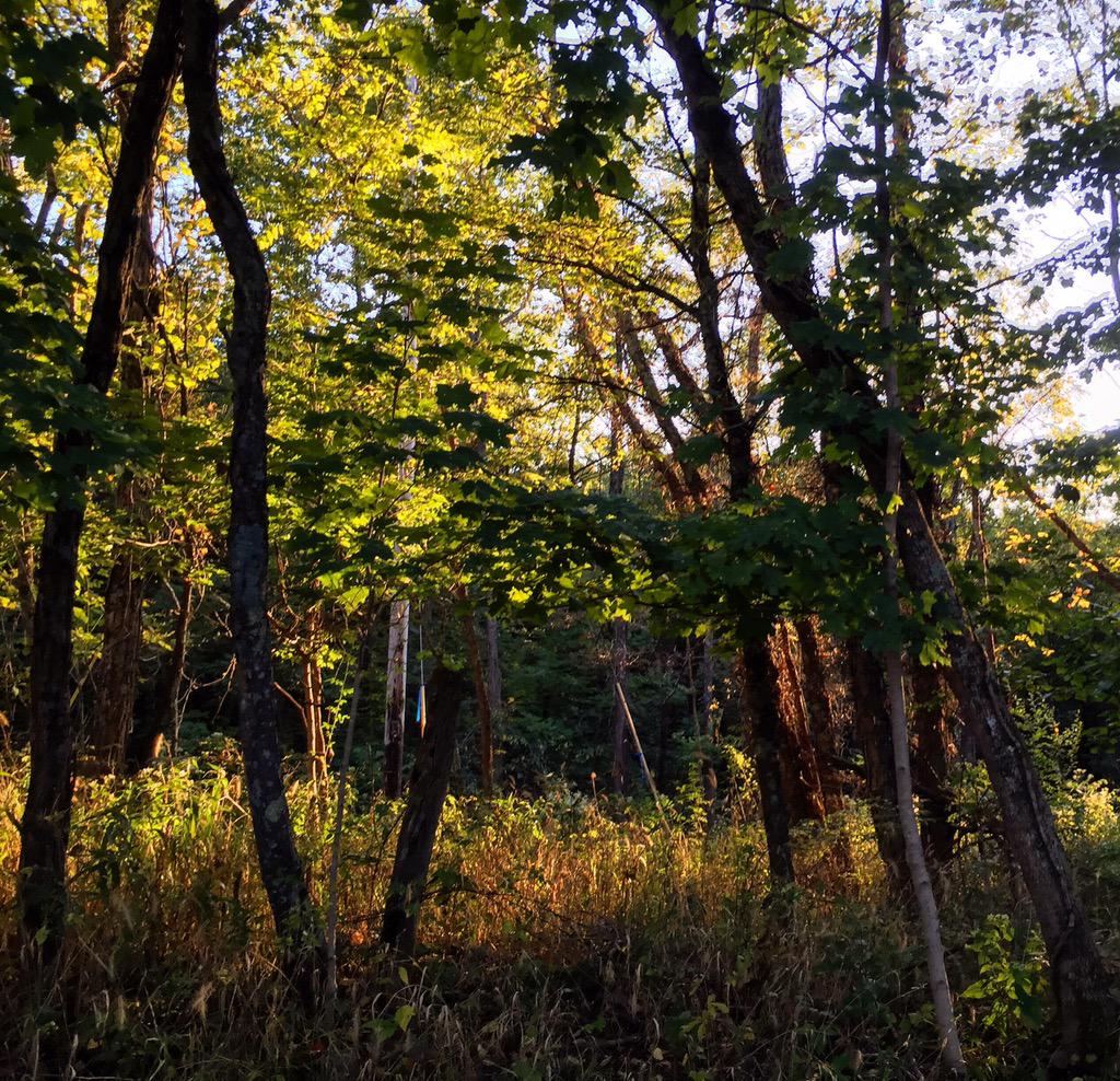 naturenovice's tweet image. #cedarspreserve #hikingtrails led us through #nature, #indianalimestone history, and a #waterfall! @SycLandTrust