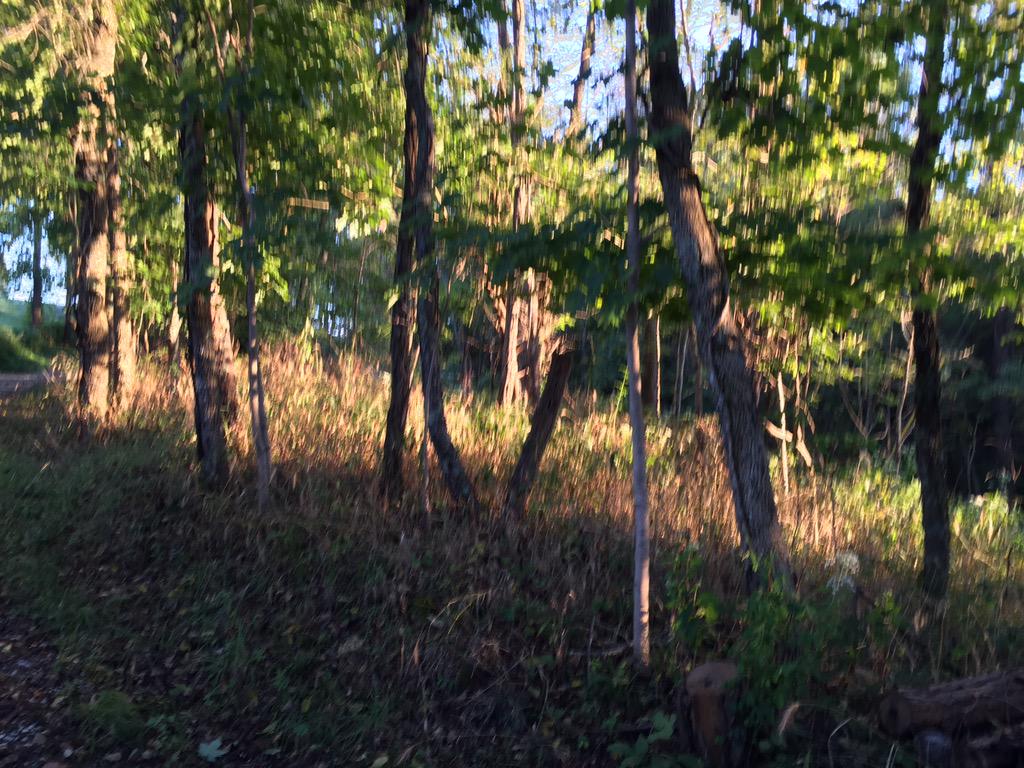 naturenovice's tweet image. #cedarspreserve #hikingtrails led us through #nature, #indianalimestone history, and a #waterfall! @SycLandTrust