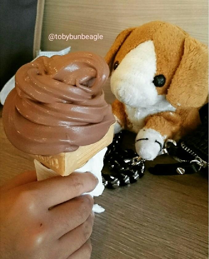 Ha ha ha chocolate twist cone 
#chocolate #cone #icecream #twist #Dessert #eat #treats #beagle #beagles #toby