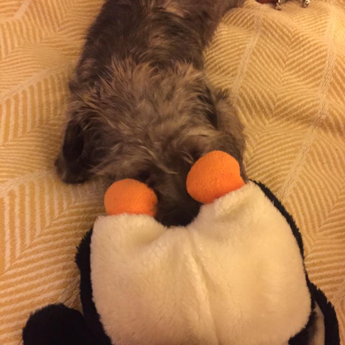 Eating assholes--just like mom. With @bonoldman http://t.co/lWlEK737tl<a class="tags" target="_blank" title="On Twitter" href="/?out=eyJ0eXAiOiJKV1QiLCJhbGciOiJIUzUxMiJ9.eyJpYXQiOjE3MjE4ODIyODgsImlzcyI6InR3cG9ybnN0YXJzLmNvbSIsIm5iZiI6MTcyMTg4MjI4OCwiZXhwIjoxNzUzNDE4Mjg4LCJyZWRpcmVjdF91cmwiOiJodHRwczovL3R3aXR0ZXIuY29tL2Jvbm9sZG1hbiJ9.vZVYeCt7vnlJsNh4uDYrXDV9SX0fLkJSYzMk_4fXLlpajFQ9RUiUkvF-zeVpPmXv9A4ZW0YAqhQ2fMBc3psJrA">@bonoldman</a><a href="/tag/mvsales"class="tags"><span>#mvsales</span></a>