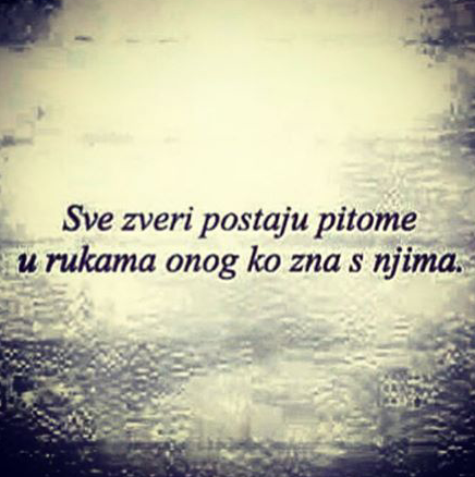 Prorocica (@prororocica) on Twitter photo 