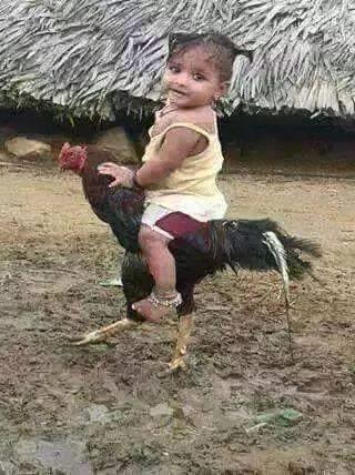 Www Xnxx Followed Www Xnxx Followed
