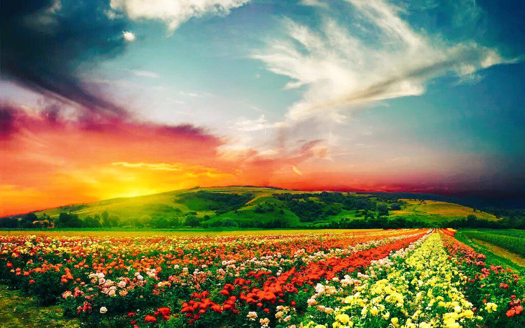 快乐星期天hashtag