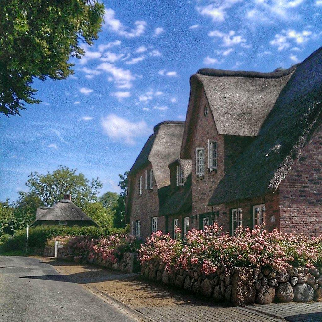 Reetdach Hashtag On Twitter