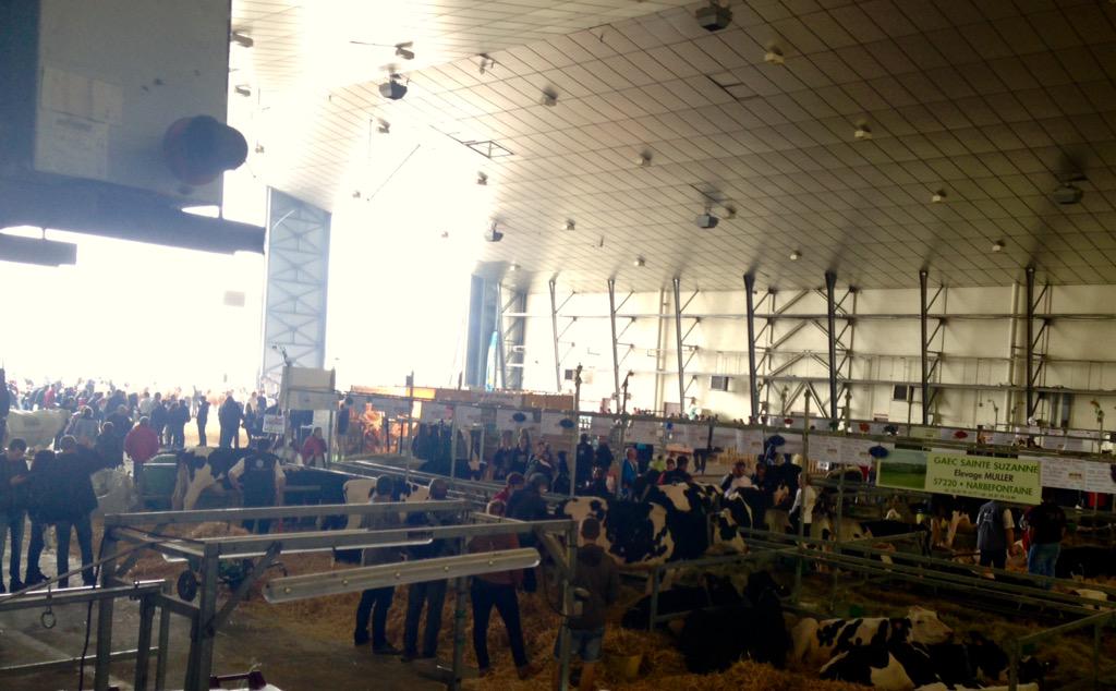 JimBataille's tweet photo. Affluence autour du ring bovin Concours Interrégional de vaches limousines #LesTerresdeJim #JA57 @JeunesAgri http://t.co/7DkMm2youW