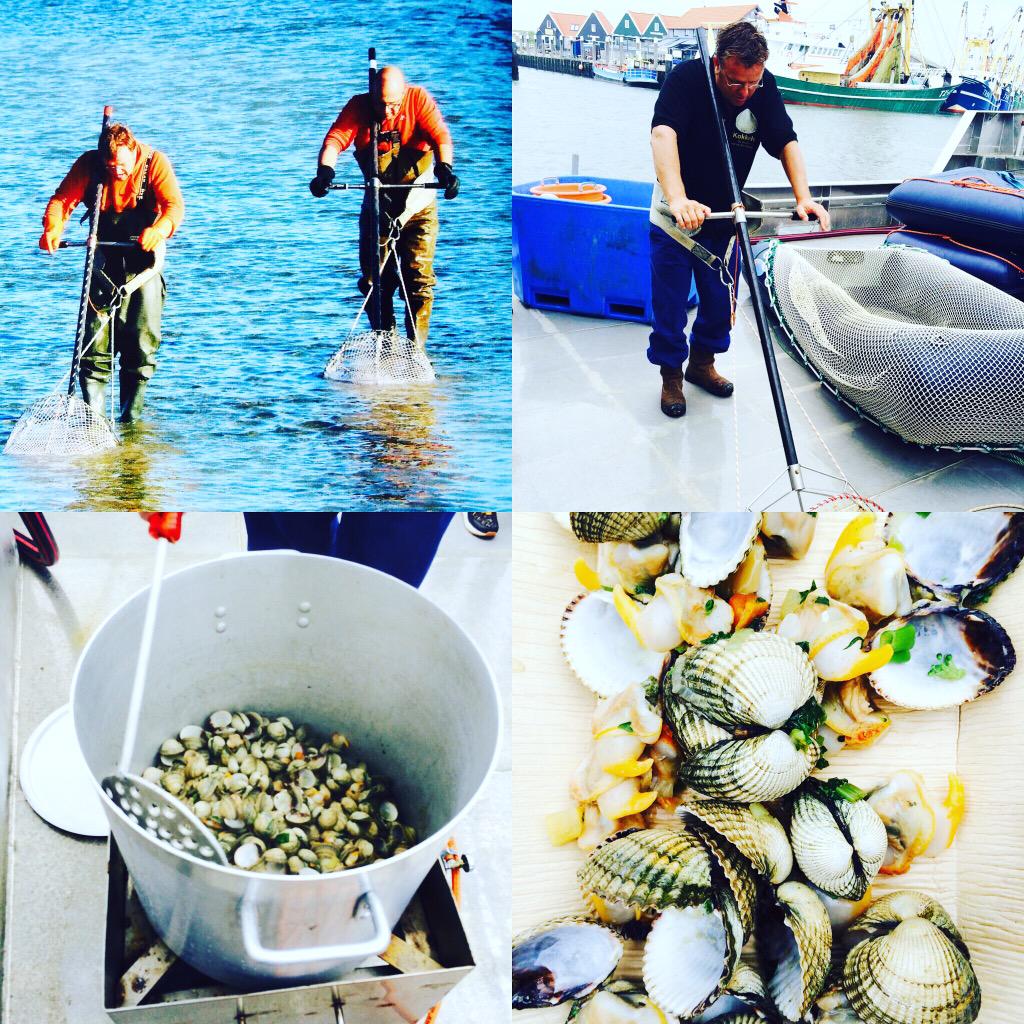 #texelculinair kokkels proeven aan boord van de #louisemarlou
