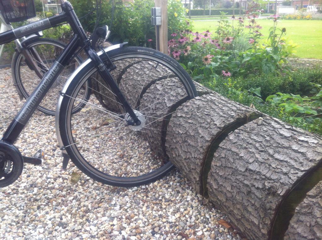 Boomstamfietsenrek. Een tweede leven voor omgewaaide bomen. #circulaire economie.